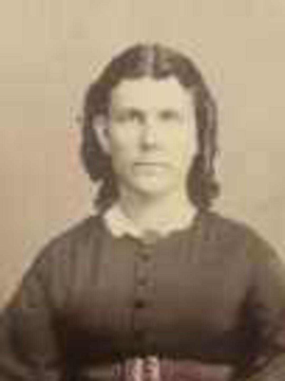 Elmeda Stringham (1829 - 1923) Profile